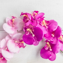 Штучні орхідеї