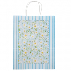 Подарунковий пакет "Квітковий настрій", 25,5*33 см (9078-006)