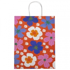 Подарунковий пакет "Різнобарвна феєрія", 25,5*33 см (9078-012)