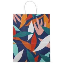 Подарунковий пакет "Різнобарвна феєрія", 25,5*33 см (9078-012)