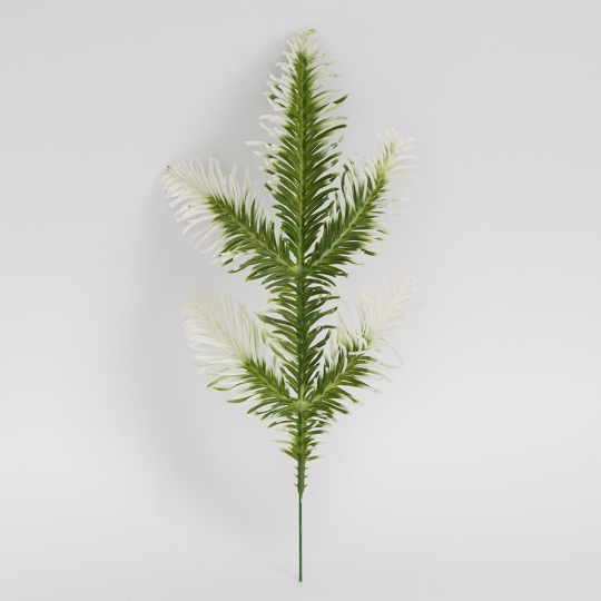Декоративная ветвь 