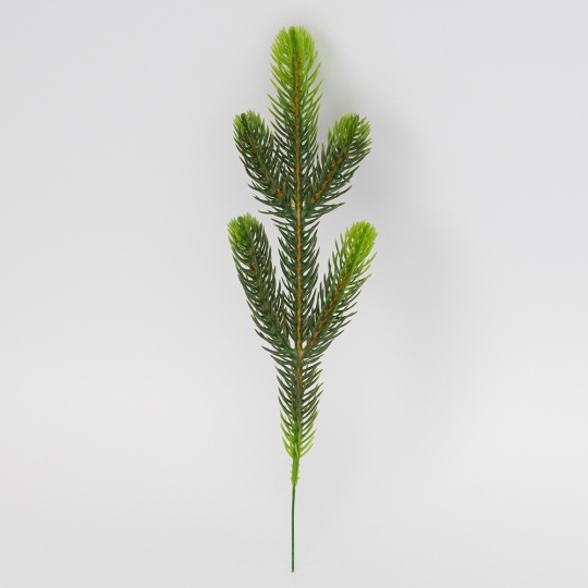 Декоративна гілка Декоративна гілка