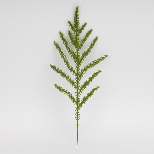Декоративная ветвь 