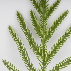 Декоративна гілка "Тонка хвоя", 32 см (9256-022)