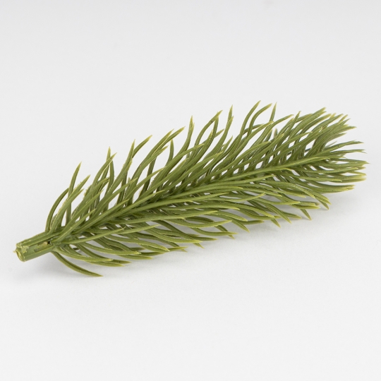 Декоративна гілка 