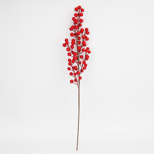 Декоративна гілка Декоративна гілка