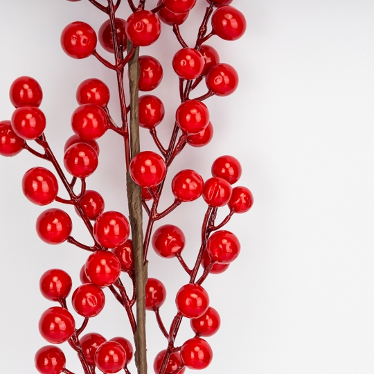 Декоративна гілка Декоративна гілка