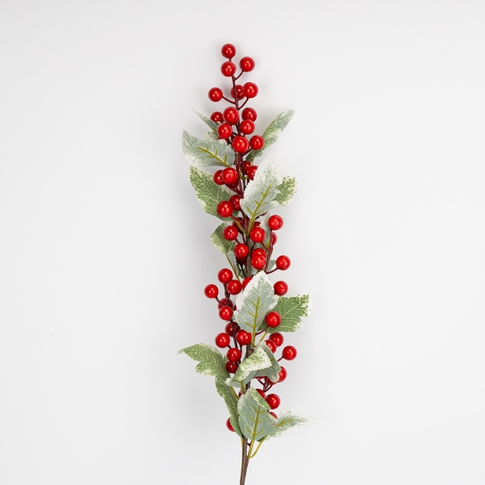 Декоративная ветвь 