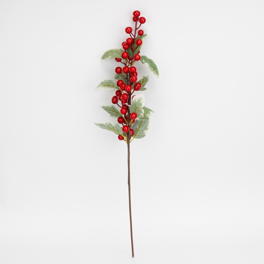 Декоративная ветвь 