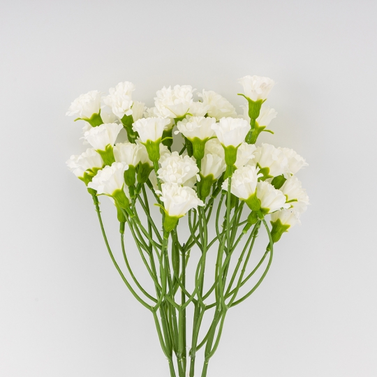 Искусственные миниатюрные гвоздики, белые, 38 см (9259-039) Искусственные миниатюрные гвоздики, белые, 38 см (9259-039)
