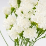 Искусственные миниатюрные гвоздики, белые, 38 см (9259-039)