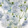 Искусственные миниатюрные гвоздики, голубые, 38 см (9259-040)