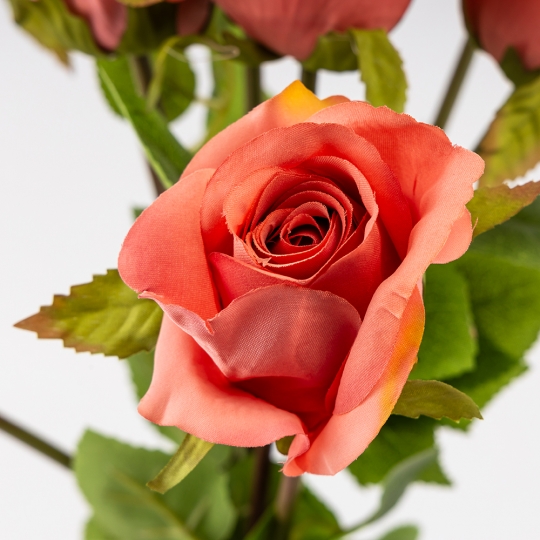 Букет роз, 8 бутонов, темно-розовый, 48 см (9259-055)