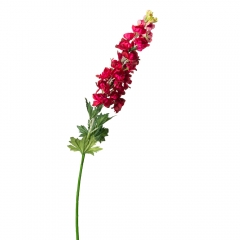 Люпин, червоний (8721-020)