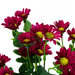 Букет хризантем (8722-026)