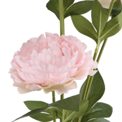 Пионы "Ласковость", 88 см (6018-143)