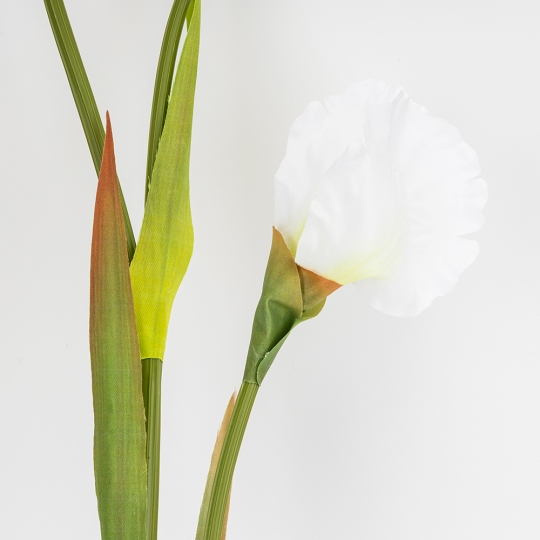 Штучний ірис, білий, 80 см (2026-030/white)