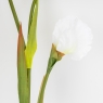 Штучний ірис, білий, 80 см (2026-030/white)