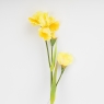 Искусственный ирис, желтый, 80 см (2026-030/yellow)
