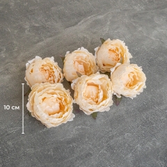 Головка півонії, кремова, 10 см (9222-059)