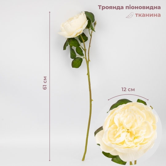 Роза пионовидная, кремовая, 61 см. (2026-018/cream) Роза пионовидная, кремовая, 61 см. (2026-018/cream)