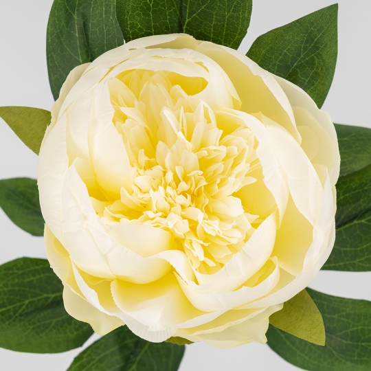 Искусственный пион, кремовый, 70 см (2026-019/cream) Искусственный пион, кремовый, 70 см (2026-019/cream)