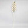 Искусственная орхидея, кремовая, 95 см (2026-021/cream)