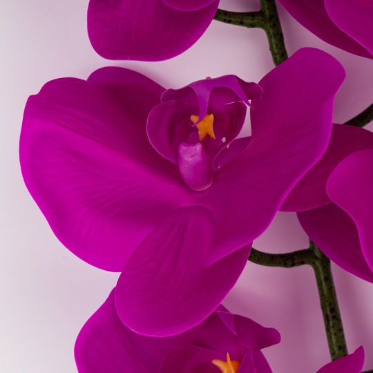 Латексна орхідея, фіолетоваа, 95 см (2026-021/violet) Латексна орхідея, фіолетоваа, 95 см (2026-021/violet)