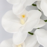 Искусственная орхидея, белая, 95 см (2026-021/white)