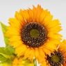 Штучний соняшник з 3 бутонами, помаранчевий, 66 см (2026-024/orange)
