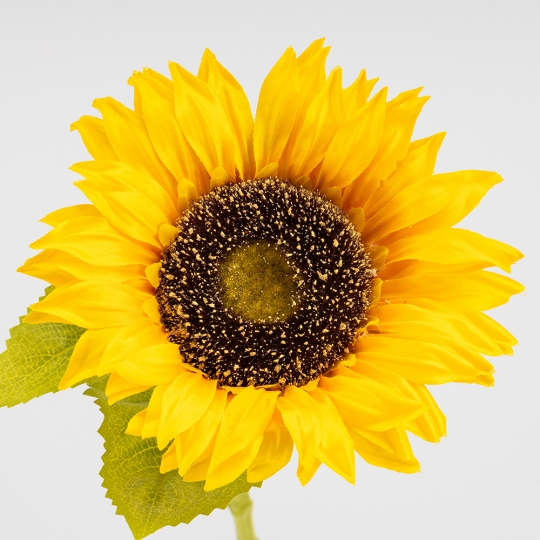Искусственный подсолнух, желтый, 47 см (2026-025/orange) Искусственный подсолнух, желтый, 47 см (2026-025/orange)