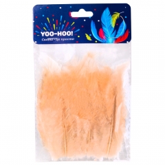 Декоративне пір