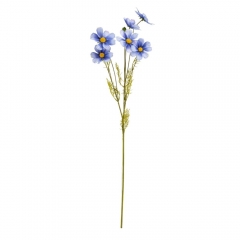 Космея блакитна, 90 см (012FO)