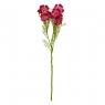 Космея червона, 78 см (014F/red)