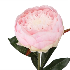Пион нежно - розовый (79 см) (033FS-PK)