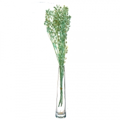 Лунарія, бірюза (8430-032)