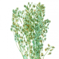 Лунарія, бірюза (8430-032)