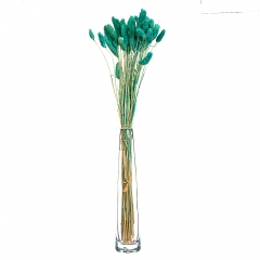 Лагурус, бірюзовий (8430-040)