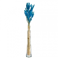 Лагурус (синій, блакитний, бірюза) (8430-029)