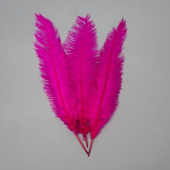 Страусине перо 55 см малиновий (8501-001/crimson)