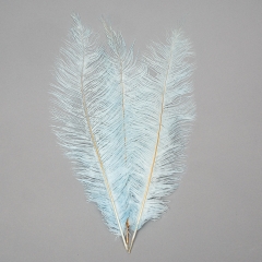 Страусине перо 55 см світло-блакитний (8501-001/light-blue)