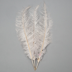 Страусине перо 55 см світло-сірий (8501-001/light-gray)