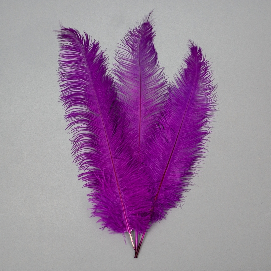 Страусиное перо 55 см фиолетовый (8501-001/purple)