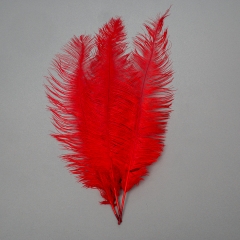Страусине перо 55 см червоний (8501-001/red)