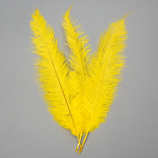 Страусине перо 55 см (8501-001/yellow)
