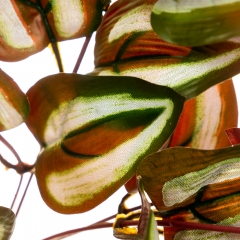 Гілка Зебрини, 34 см (8001-014)