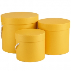 УЦІНКА Набір з 3 коробок "Сонячні дива" (Відсутня кришка на верхній коробці) (00BR-8944-009)