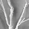Искусственная ветка, белая, 125 см (9259-059)