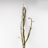 Искусственная ветка, коричневая, 125 см (9259-060)