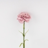 Искусственная гвоздика, пудровая, 51 см (9259-087)